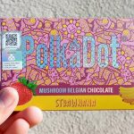 polkadot strawnana mushroom Belgian chocolate review