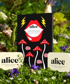 Alice's Brainstorm Chocolate