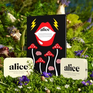 Alice's Brainstorm Chocolate