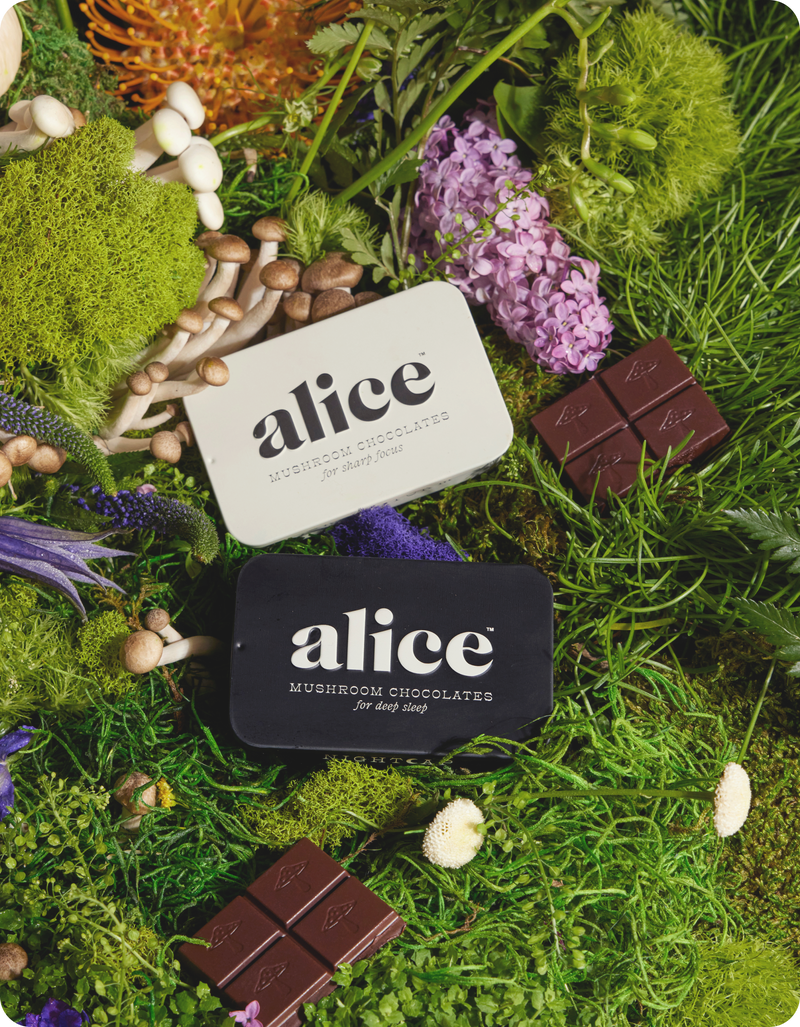 alice mushrooms