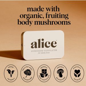 alice brainstorm chocolate