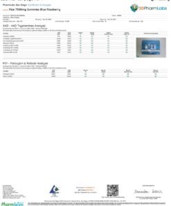 Rize Blue Razzberry Gummies lab result