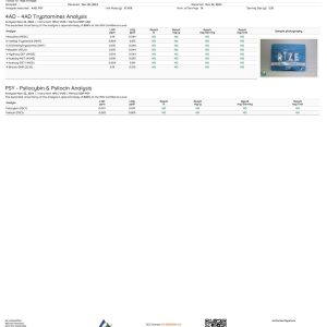 Rize Blue Razzberry Gummies lab result