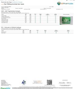 Rize Sour Apple Gummies lab report
