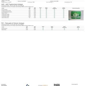 Rize Sour Apple Gummies lab report