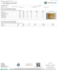 Rize Mango Gummies lab result