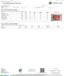 Rize Watermelon Gummies lab report