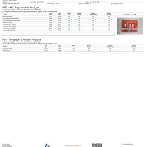 Rize Watermelon Gummies lab report