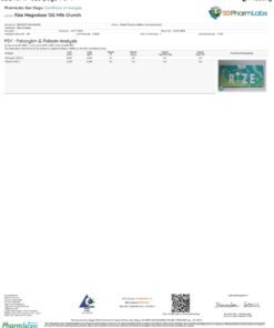 Rize Milk Crunch Mushroom Chocolate lab report