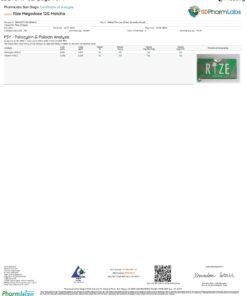 Rize Matcha Mushroom Chocolate lab result