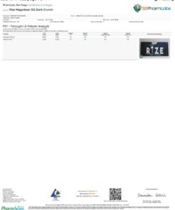 Rize Dark Crunch Megadose Mushroom Chocolate lab report