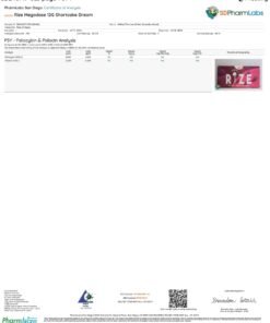 rize shortcake dream chocolate lab report