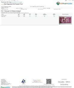 Rize Passion Fruit Megadose Mushroom Chocolate lab report