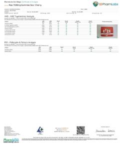 Rize Super Cherry Gummies lab report