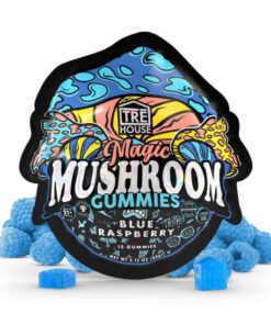 TreHouse Blue Raspberry Magic Mushroom Gummies