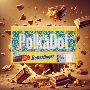 Polkadot Favorite Fusion Bundle