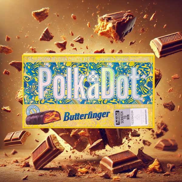Polkadot Favorite Fusion Bundle