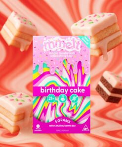 Mmelt Birthday Cake Mushroom Chocolate - 6G