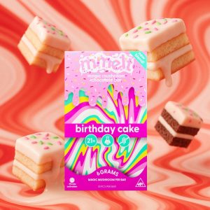 Mmelt Birthday Cake Mushroom Chocolate - 6G