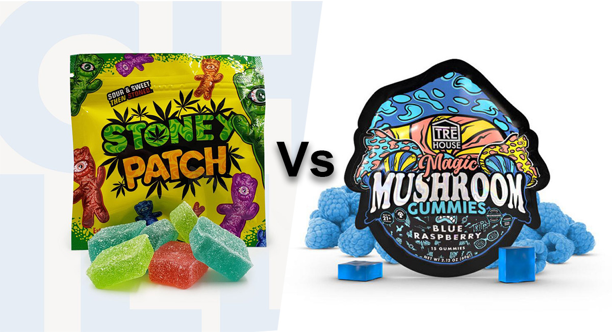 Weed vs Mushroom Gummies