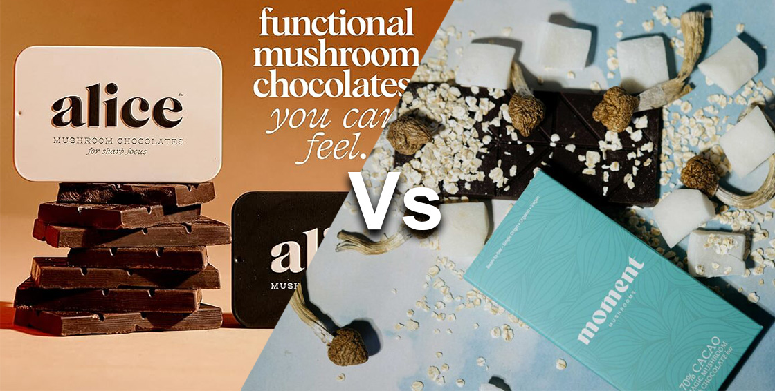 functional vs psychedelic mushroom chocolate