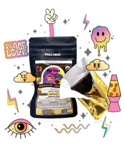 Psy mushroom chocolate