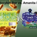 an image of Psilocybin mushroom chocolate vs. Amanita muscaria chocolate bar