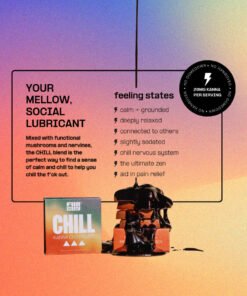 Fun Guy - Chill Mushroom Chocolate Feeling States