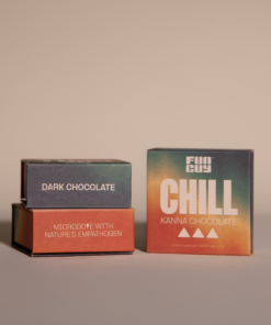 Fun Guy - Chill Mushroom Chocolate front image
