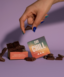 Fun Guy - Chill Mushroom Chocolate