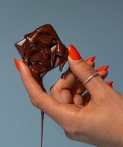 Fun Guy - Flow Mushroom Chocolate