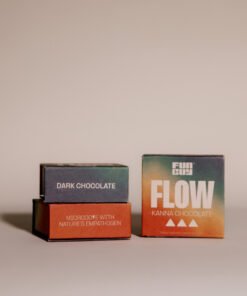 Fun Guy – Flow Mushroom Chocolate Bar