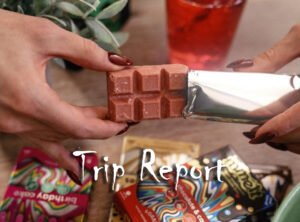 mmelt mushroom chocolate bar trip report